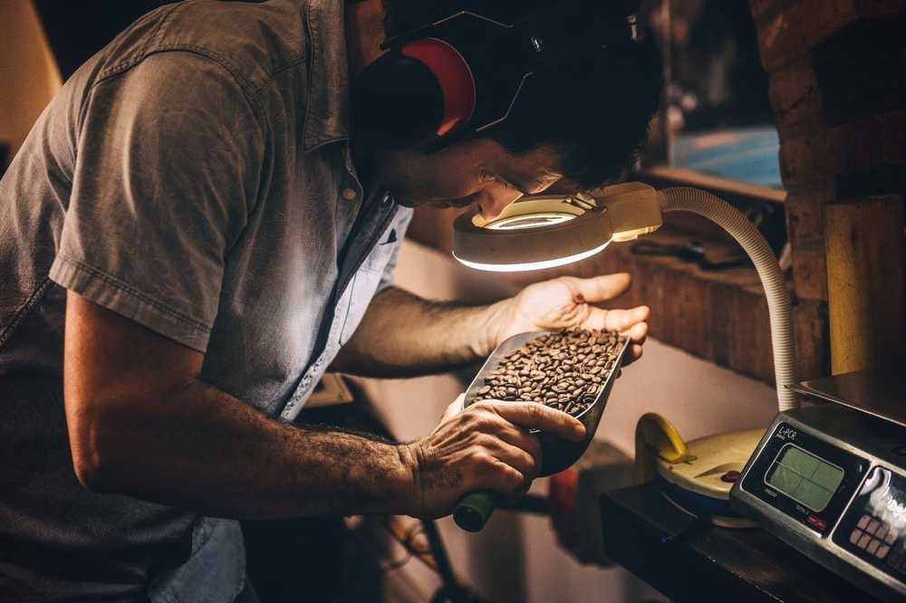 Man inspecting coffee beans