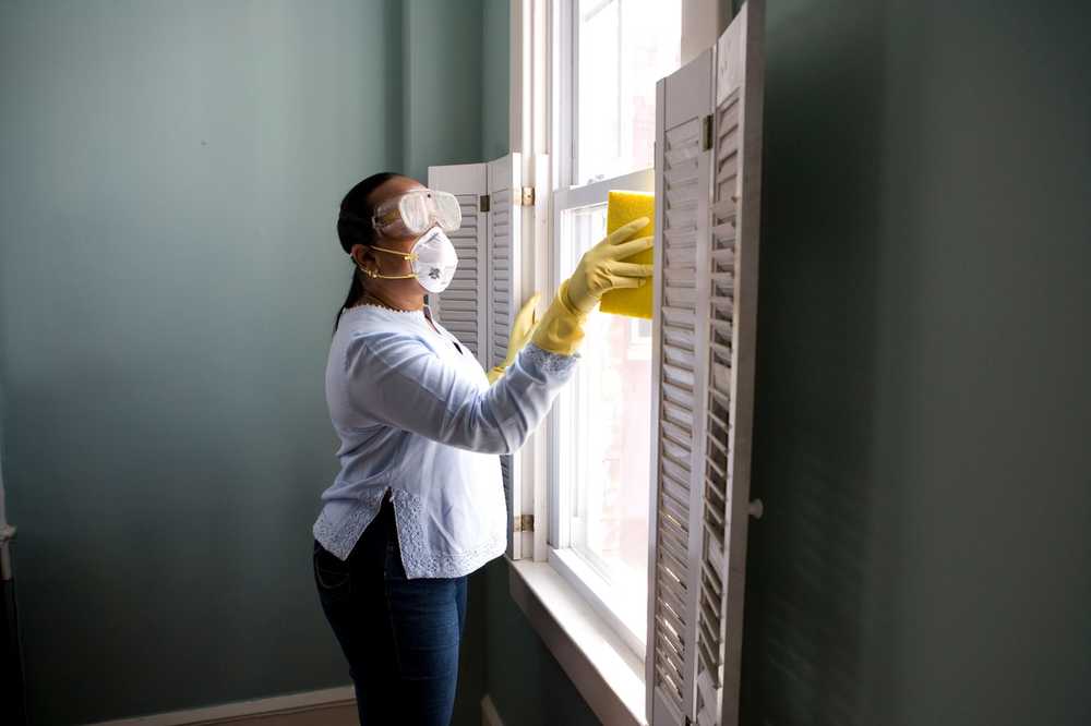 Cleaner sanitizing windows